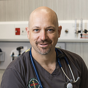 Dr Andrew Perry