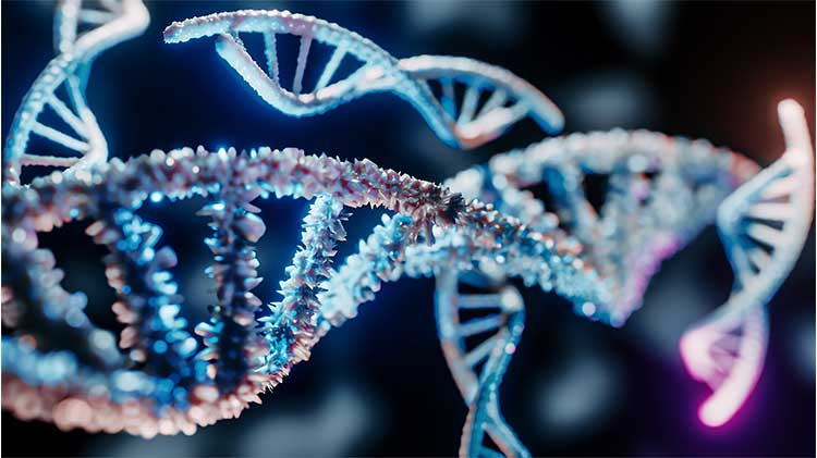 DNA deliberation